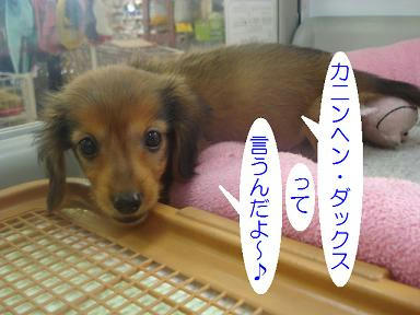 DSC04392.JPG