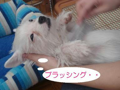 DSC04271.JPG