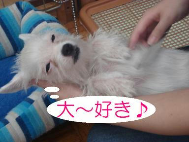 DSC04270.JPG