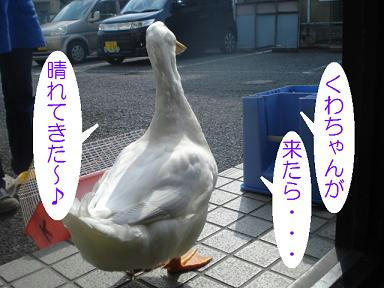 DSC04263.JPG