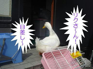 DSC04265.JPG
