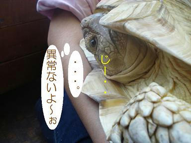 DSC04605.JPG