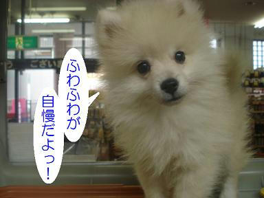 DSC04639.JPG