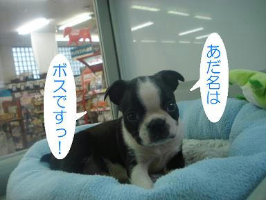 DSC04600.JPG