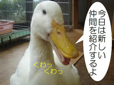 d6f26203.jpeg