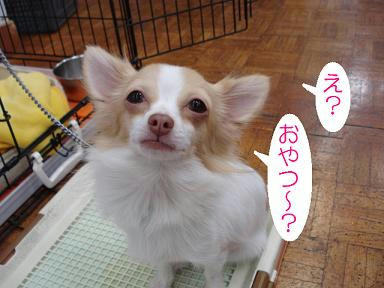 DSC04887.JPG