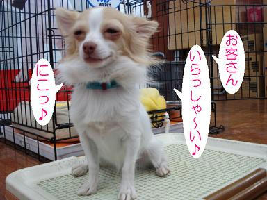 DSC04872.JPG