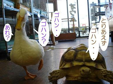 DSC04906.JPG