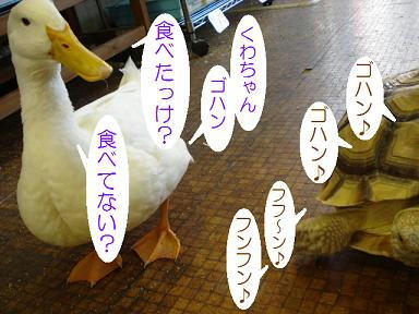DSC04908.JPG