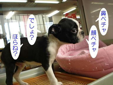 DSC04946.JPG