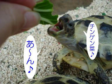 DSC04995.JPG