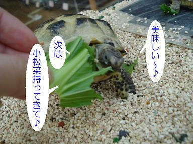 DSC05006.JPG