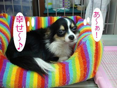 DSC05046.JPG