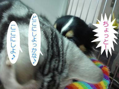 DSC05049.JPG