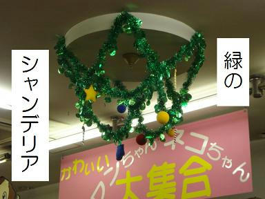 DSC05115.JPG