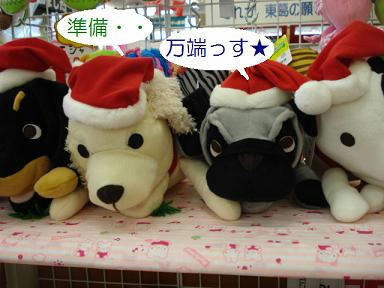 DSC05164.JPG