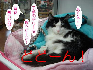 DSC05196.JPG
