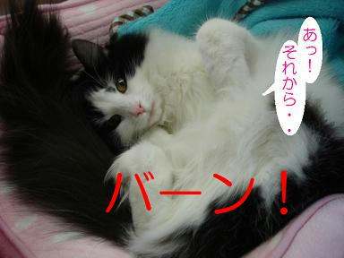 DSC05208.JPG