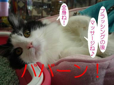 DSC05217.JPG