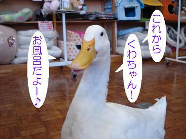 DSC05258.JPG
