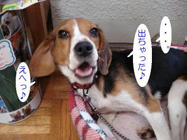 DSC05106.JPG