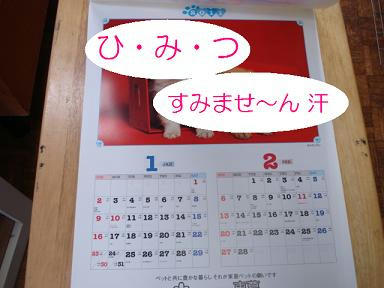 DSC05289.JPG