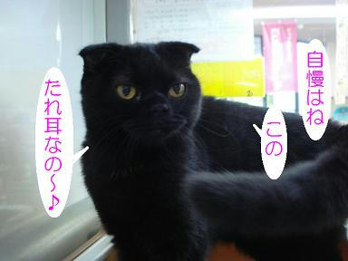 DSC05453.JPG