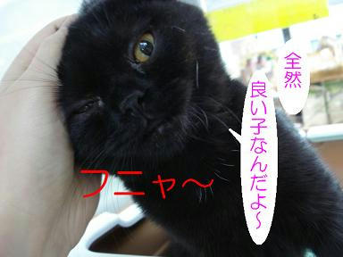 DSC05446.JPG