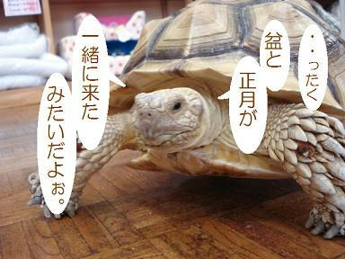 DSC05469.JPG