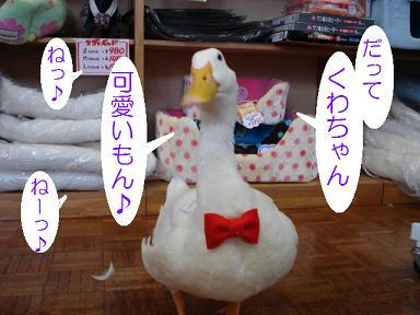 DSC05483.JPG