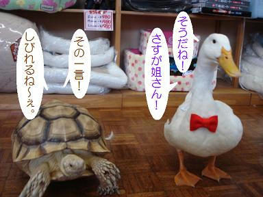DSC05484.JPG