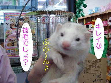 DSC05523.JPG