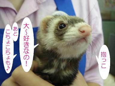 DSC05507.JPG