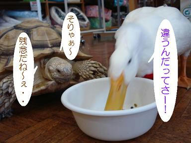 DSC05474.JPG