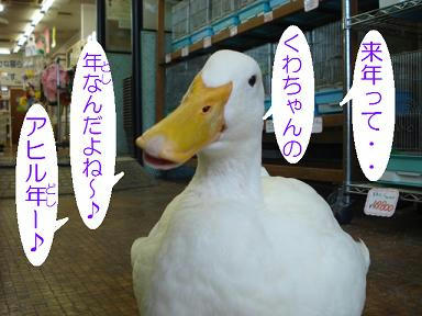 DSC05700.JPG