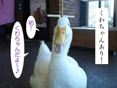 DSC05761.JPG