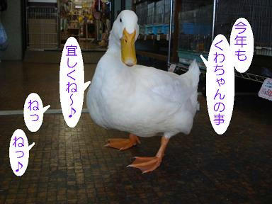 aae6b6ea.jpeg