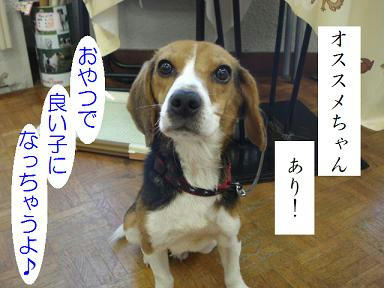 DSC05747.JPG