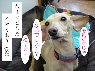 DSC05778.JPG