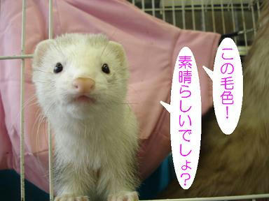 DSC06246.JPG