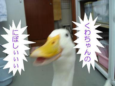 412e469a.jpeg