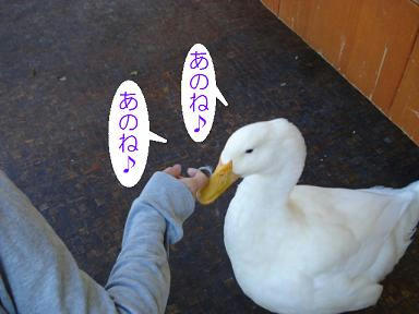 86b438d0.jpeg