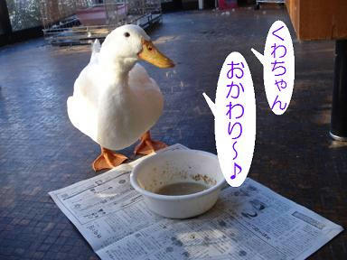DSC06388.JPG