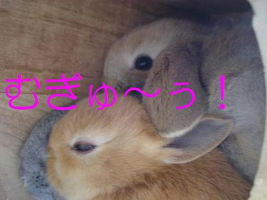 DSC06616.JPG