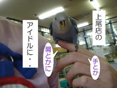 449720ec.jpeg