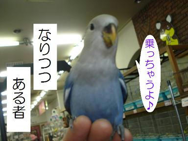 DSC06879.JPG