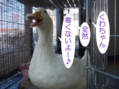 DSC07026.JPG