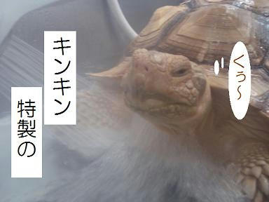b4ed95a2.jpeg