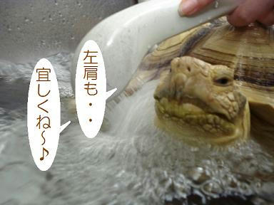 DSC07062.JPG
