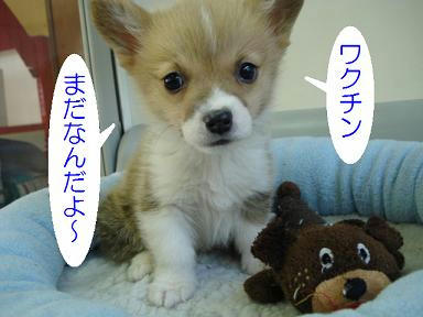 DSC07111.JPG
